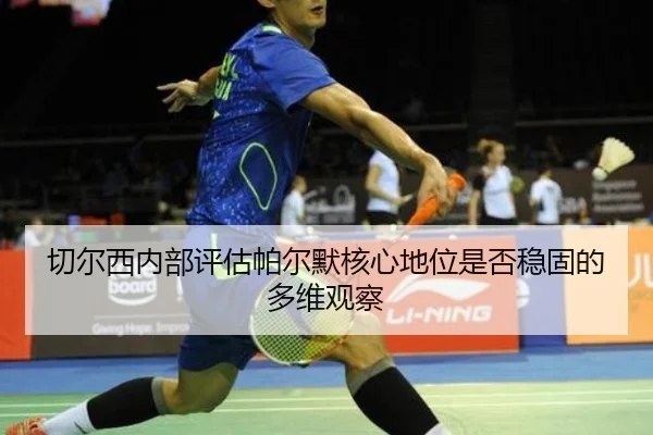 qie-er-xi-nei-bu-ping-gu-pa-er-mo-he-xin-di-wei-shi-fou-wen-gu-de-duo-wei-guan-cha-2-571.jpg