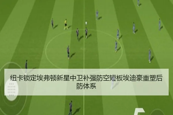 纽卡锁定埃弗顿新星中卫补强防空短板埃迪豪重塑后防体系